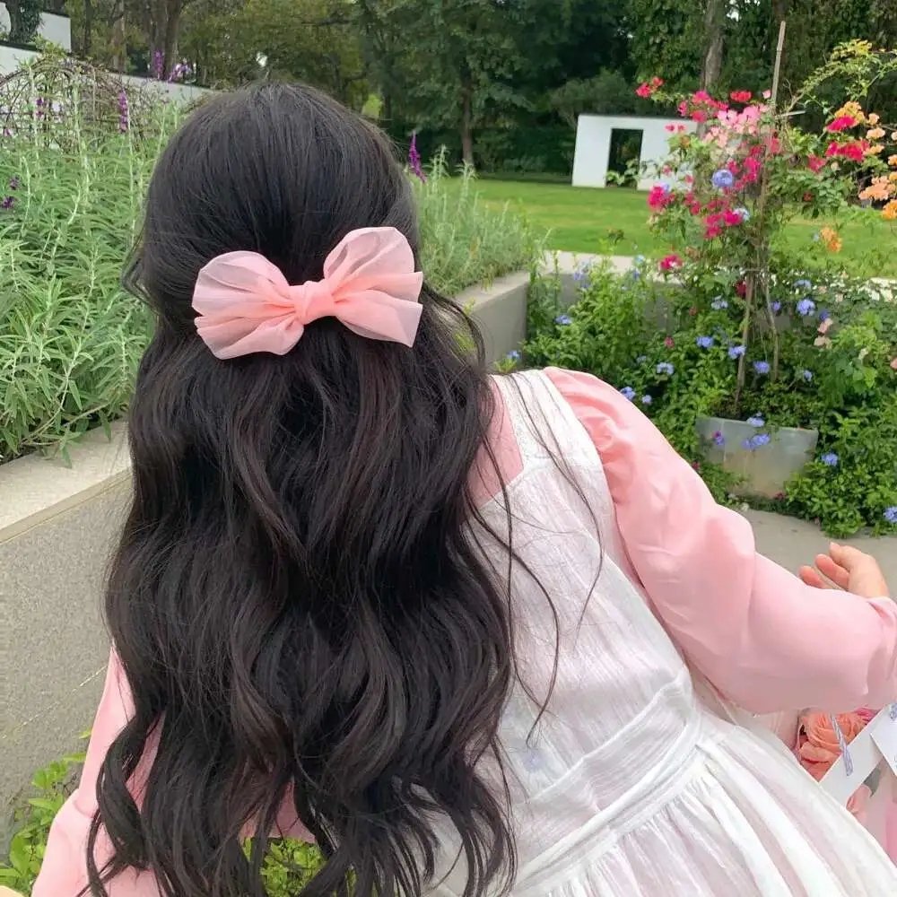 春光灿烂小家丁